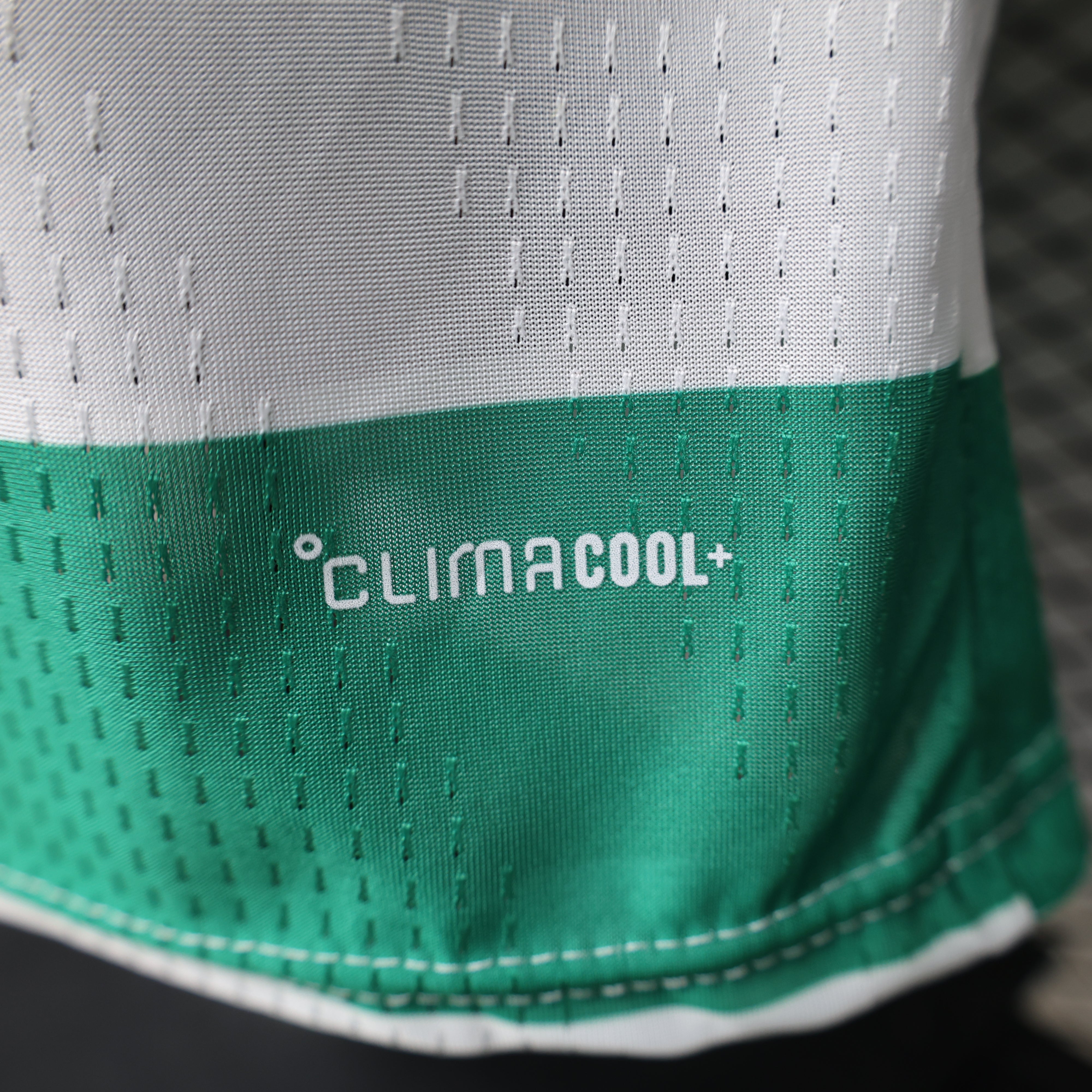 2026-27 Celtic Home Player Version