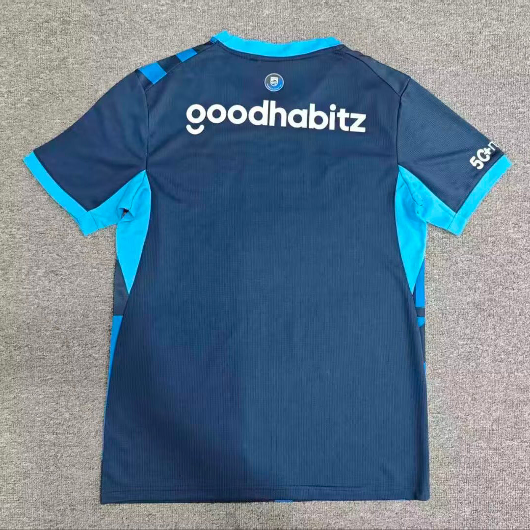 2026-27 PSV Eindhoven Third Away Fan Version