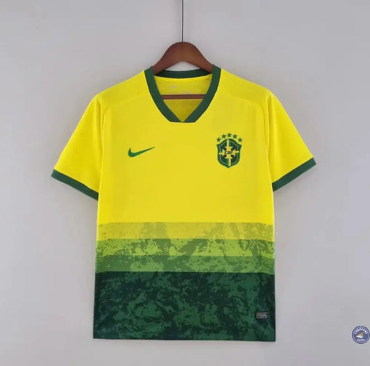 Brésil 2024 Concept