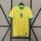 Brésil 2024 Domicile