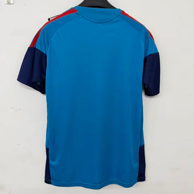 2026-27 Spain Two Stars Blue Special Fan Version