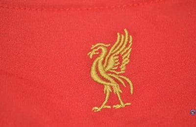Liverpool 2008/09 Domicile
