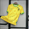 Maillot Brésil 2024 Concept