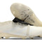 Predator 24 Elite Fold-over Tongue FG Y-3 Blanc cassé/Noir